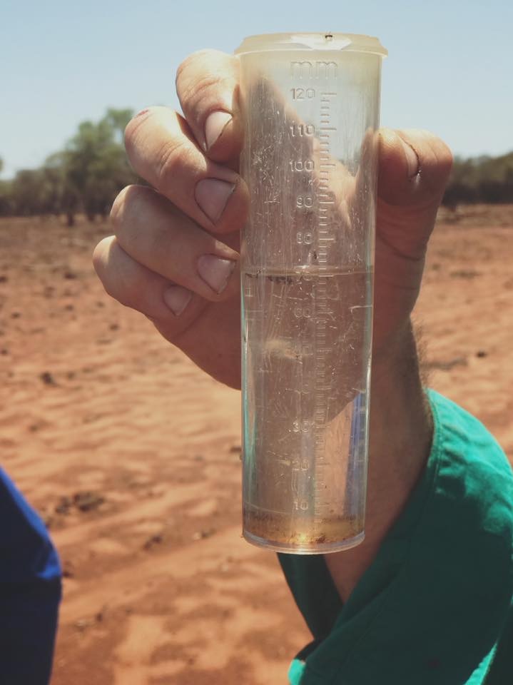 A hand holding a rain gauge with water in it.