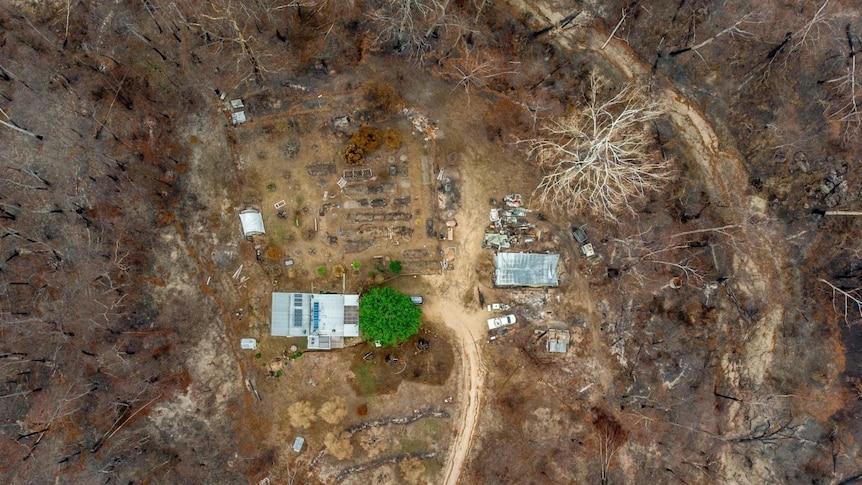 Mulberry tree and home from the air