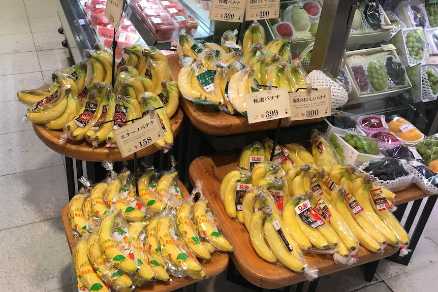 Hands of bananas, wrapped in plastic, on a supermarket shelf in Japan