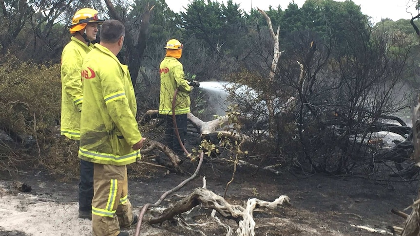 A firefighter sprays vegetation with water while two others watch on.