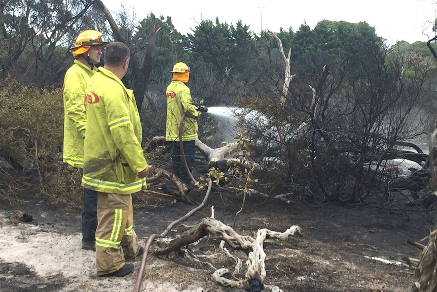 A firefighter sprays vegetation with water while two others watch on.