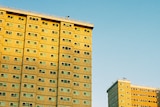 On a bright blue day at dusk, you view vast social housing towers bathed in golden light.