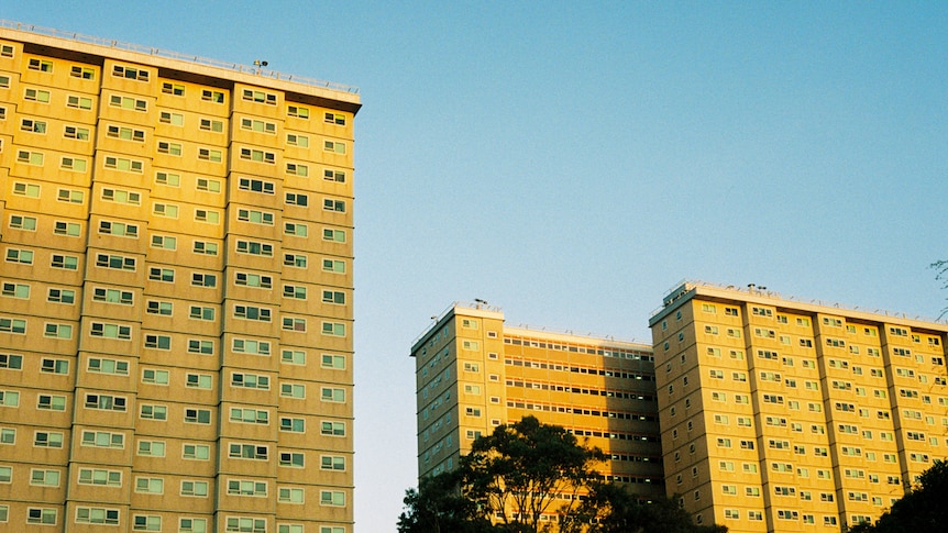 On a bright blue day at dusk, you view vast social housing towers bathed in golden light.