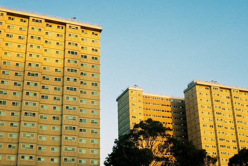 On a bright blue day at dusk, you view vast social housing towers bathed in golden light.