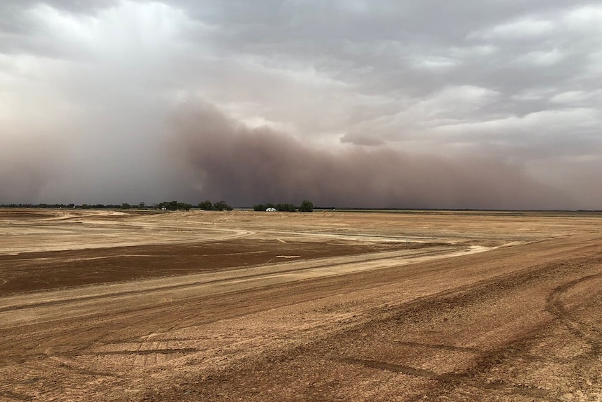 Dust storm over paddock