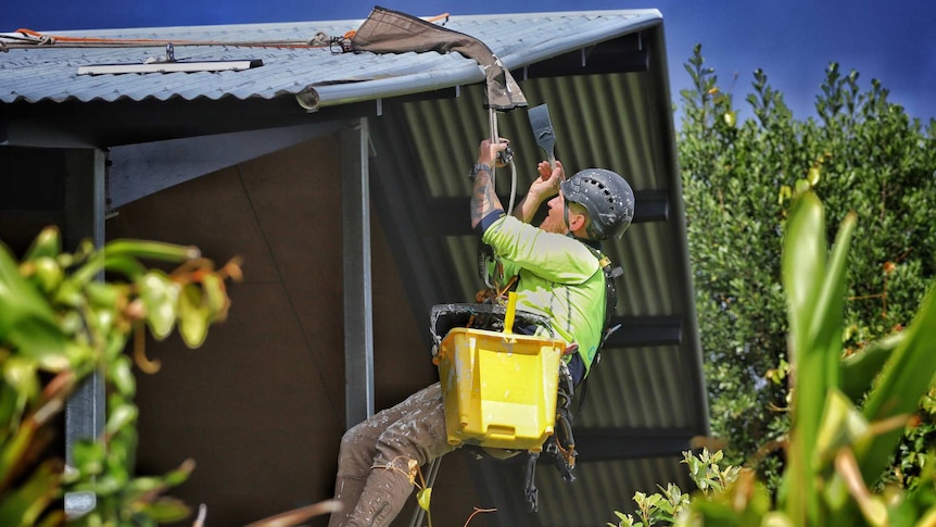 Jared Woodbine in a harness hangs from a roof to paint