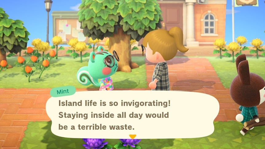 A screenshot of Animal Crossing: New Horizons with a green cat talking to a brunette girl on an island