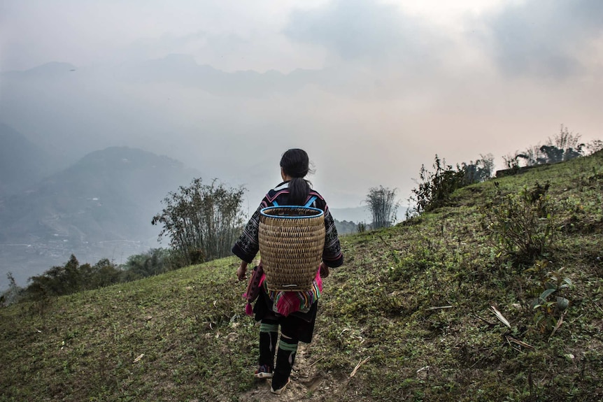 A Hmong woman walks across a mountain with a basket