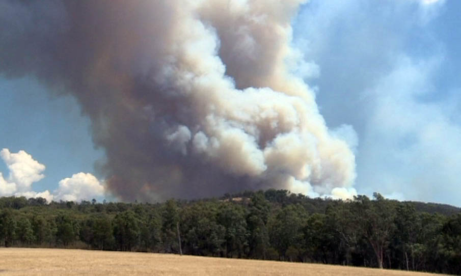 Grampians Bushfires - Victoria - ABC News