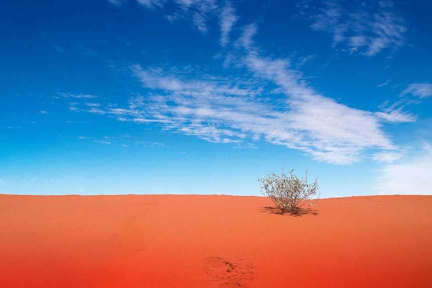 A big red sand dune under a bright blue sky in the outback.