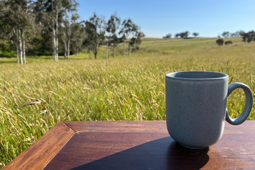 A cup of tea in front of a paddock