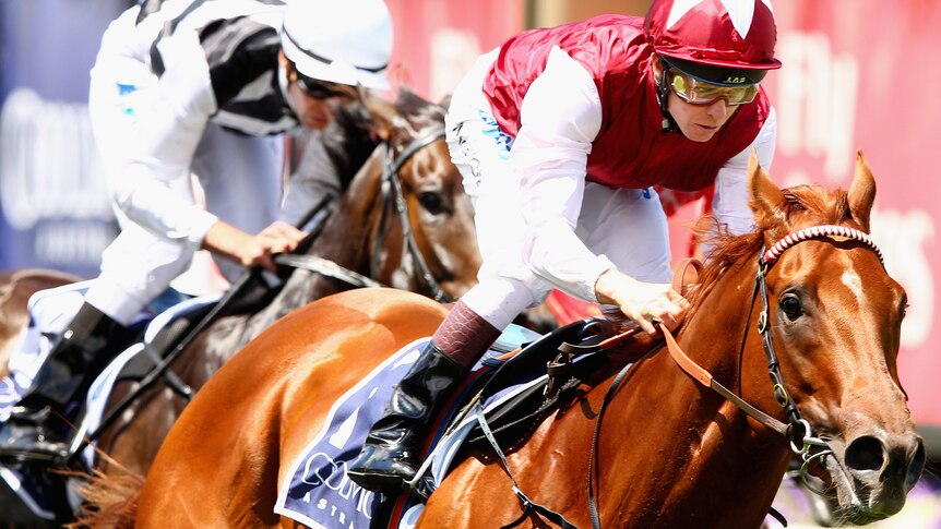 Sepoy storms home in Coolmore
