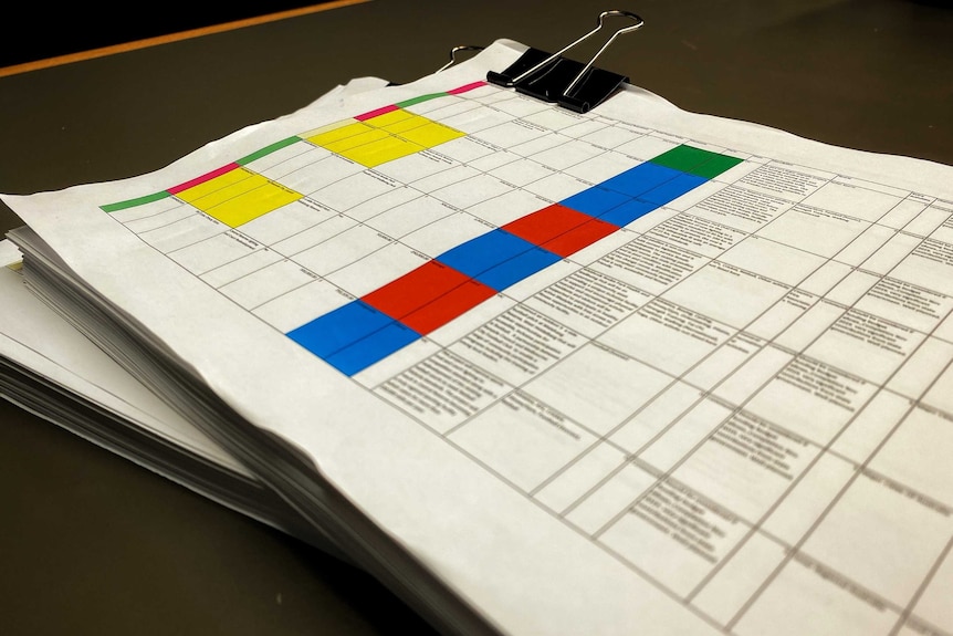 spreadsheets with colour coded sections highlighting political parties