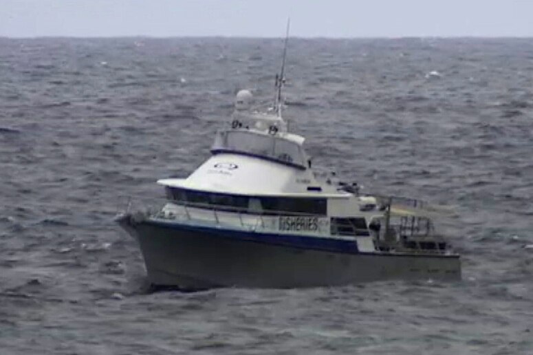 Fisheries boat searches for shark near Gracetown