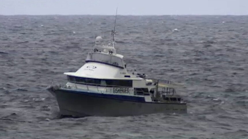 Fisheries boat searches for shark near Gracetown