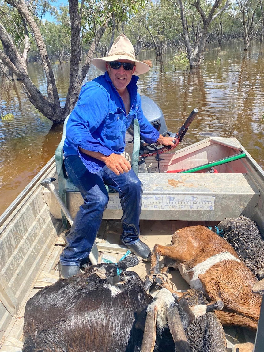 A man is a boat with several goats
