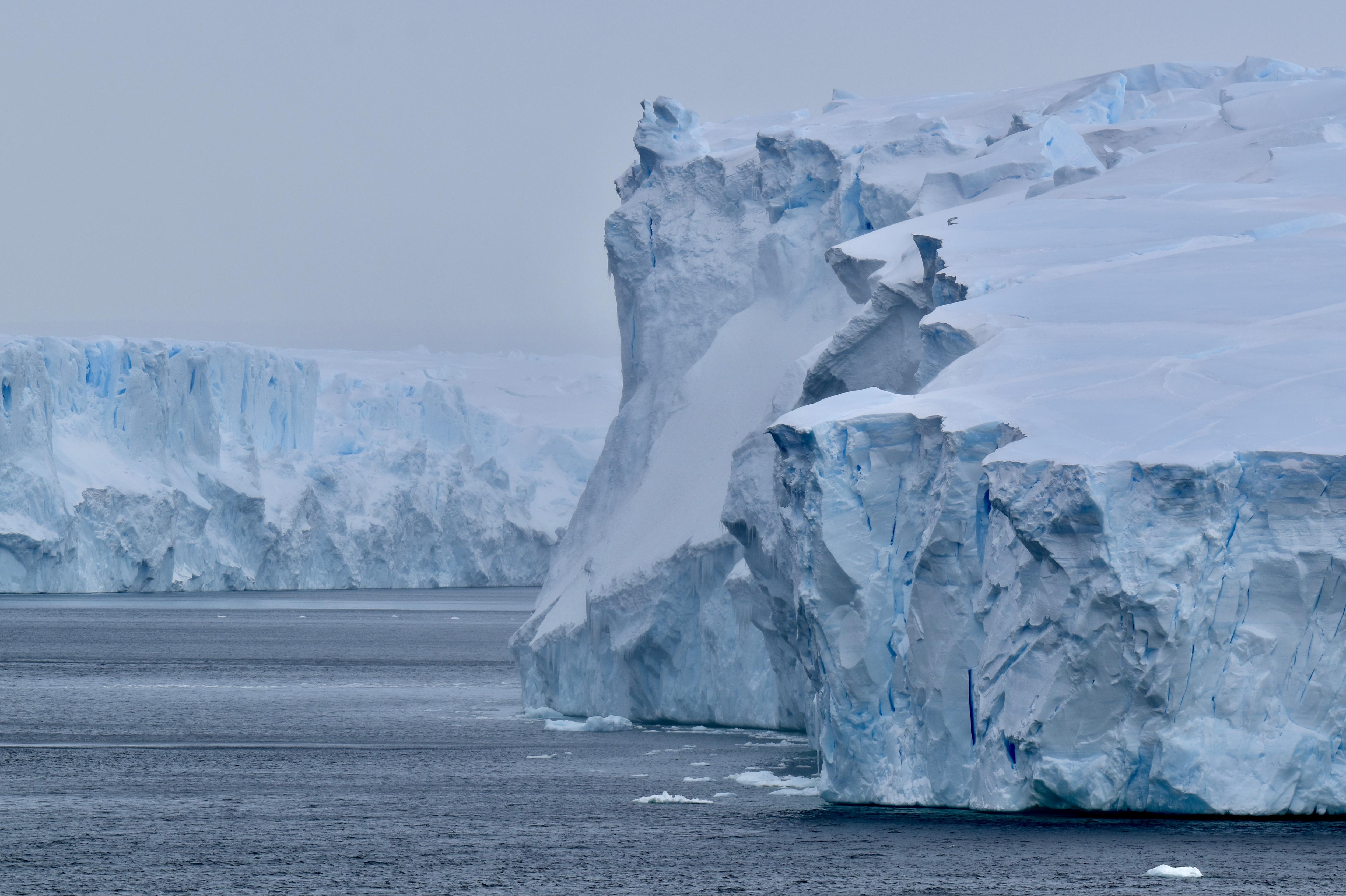A mountainous white form appears to be gliding over dark, icy ocean, another wall of ice visible in the distance.