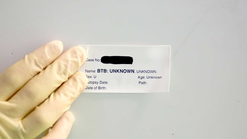 A gloved hand sticks down an autopsy label.