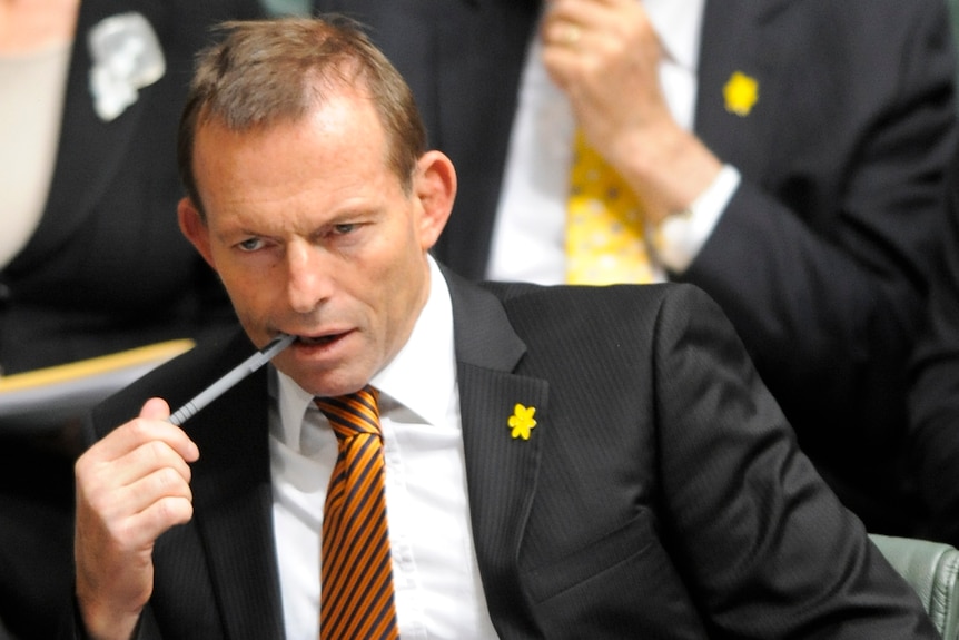 Tony Abbott is not the sort of leader to be deflected from his course. (AAP: Lukas Coch)