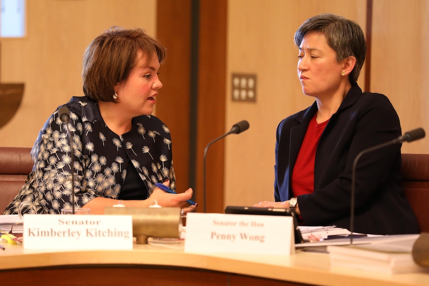 Kimberley Kitching talks to Penny Wong in a senate committee room