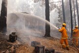 Fires in the Healesville region have affected the Maroondah catchment.