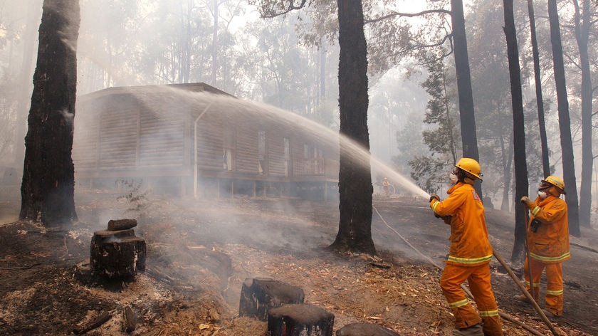 Fires in the Healesville region have affected the Maroondah catchment.