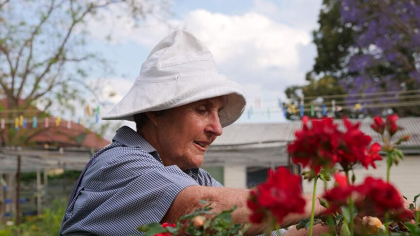 A woman prunes roses in a garden