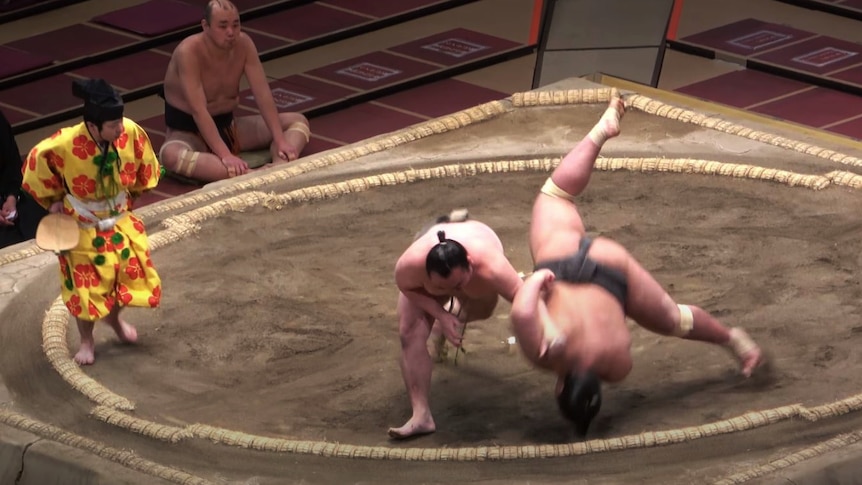 From a high angle, you're looking down at a sumo wresling ring, with one fighter suspended mid-air as it falls head-first.