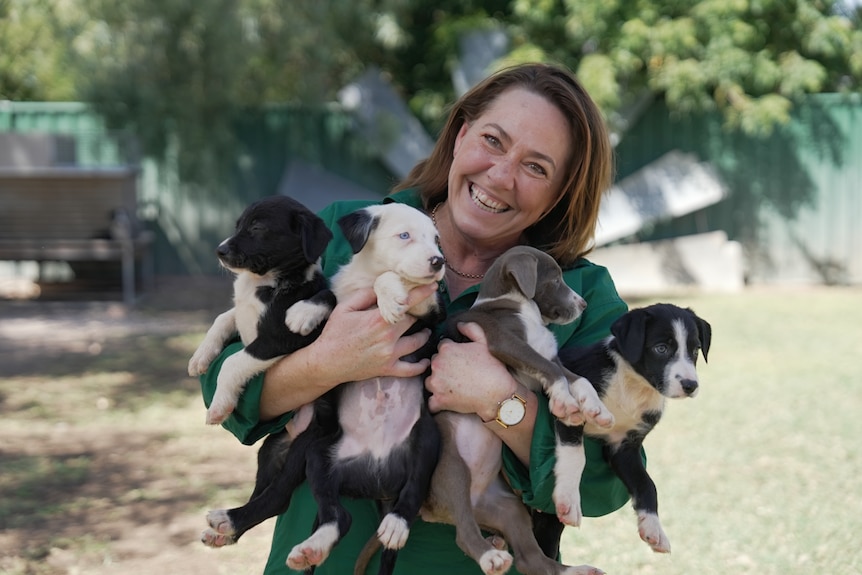 A fresh-faced woman holds four border collies puppies in her arms as she beams with glee