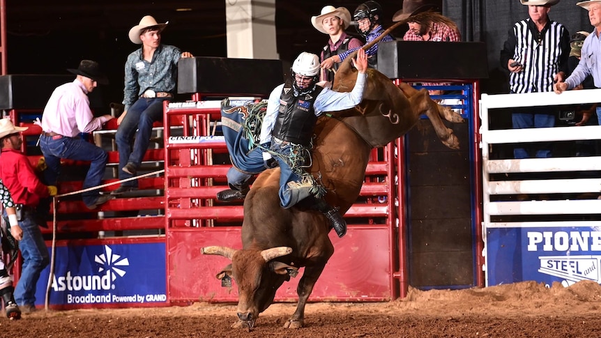 A bull rider wearing a white helmet and black leather vest holds onto a brown bucking bull at a rodeo arena.