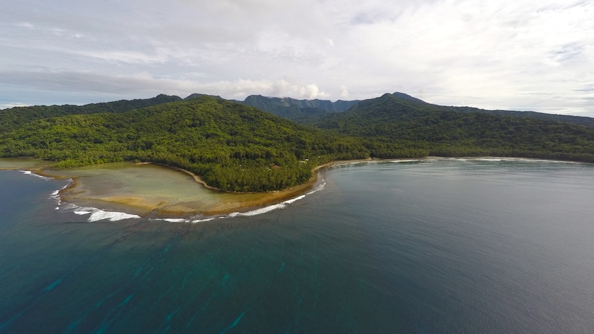 A wide shot of the the Zaria coastline, showing sea and forest.