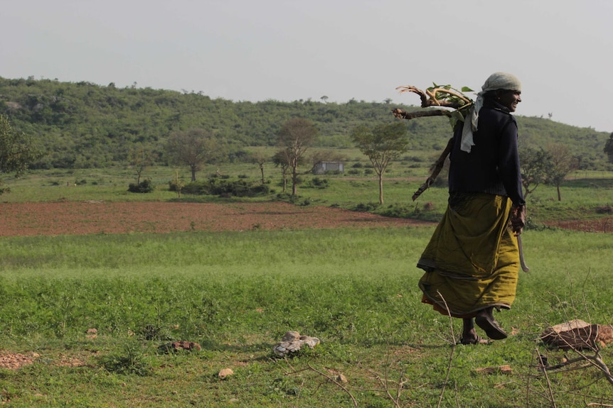 Woman carrying wood