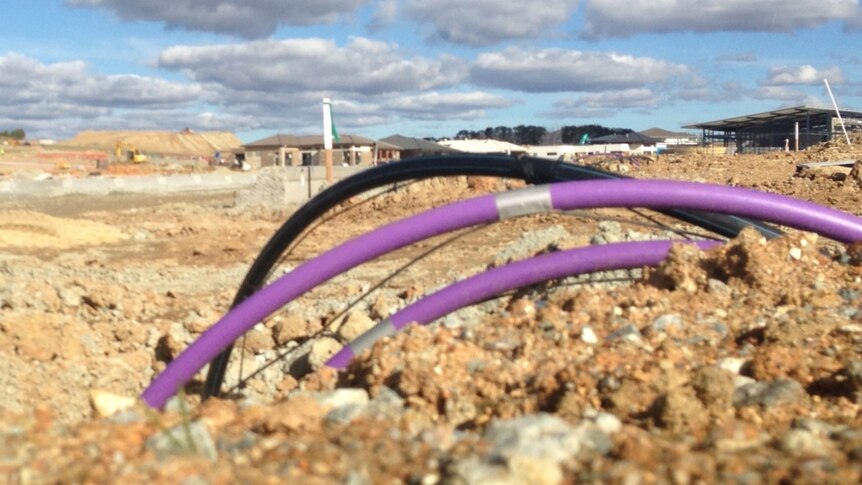 The purple pipes will contain recycled water to be pumped back into homes.