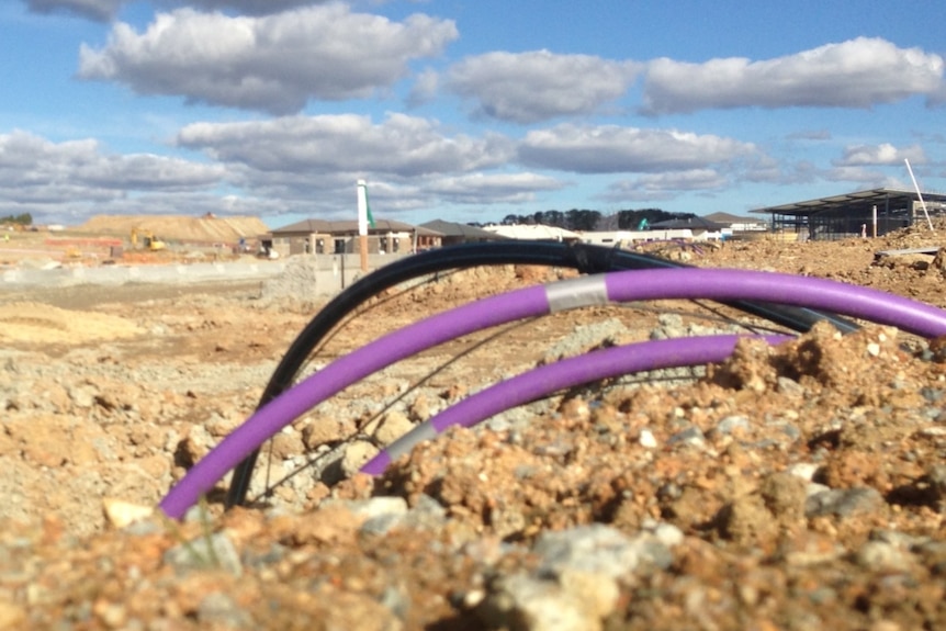 The purple pipes will contain recycled water to be pumped back into homes.