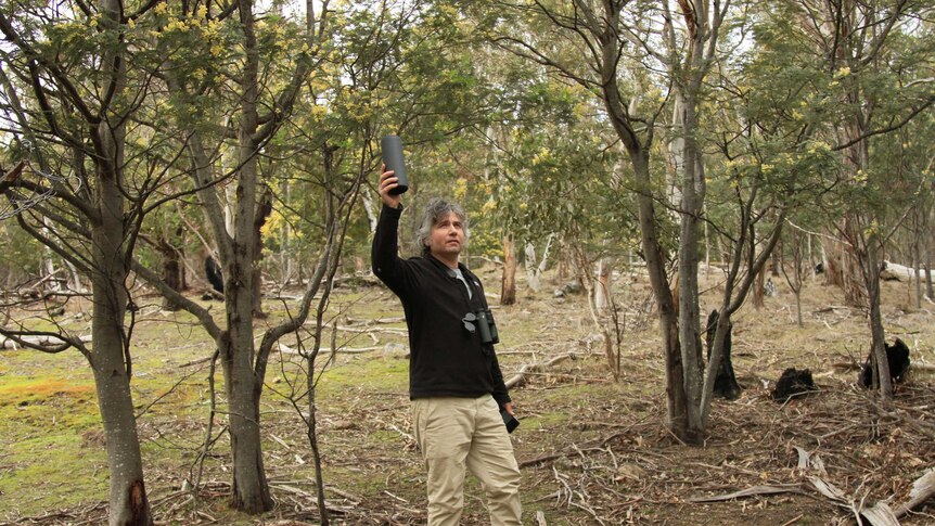Australian National University PhD student Adam Cisterne trying to find masked owls by playing a recording of their calls