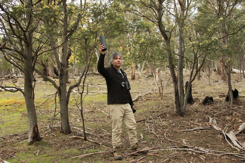 Australian National University PhD student Adam Cisterne trying to find masked owls by playing a recording of their calls