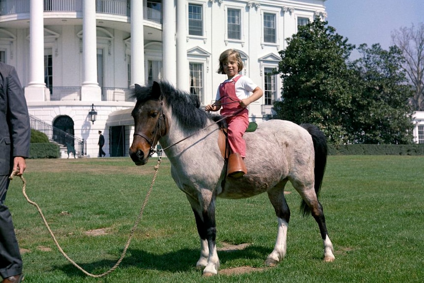 Little Caroline Kennedy astride a pony on a lawn with the White House behind her