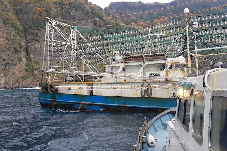 中国的捕鱼船队也在离自己海岸更近的地方造成了破坏。