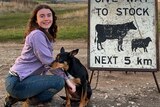 A young woman kneels next to her Kelpie dog, with a 'give way to stock' sign and sunset in the background.