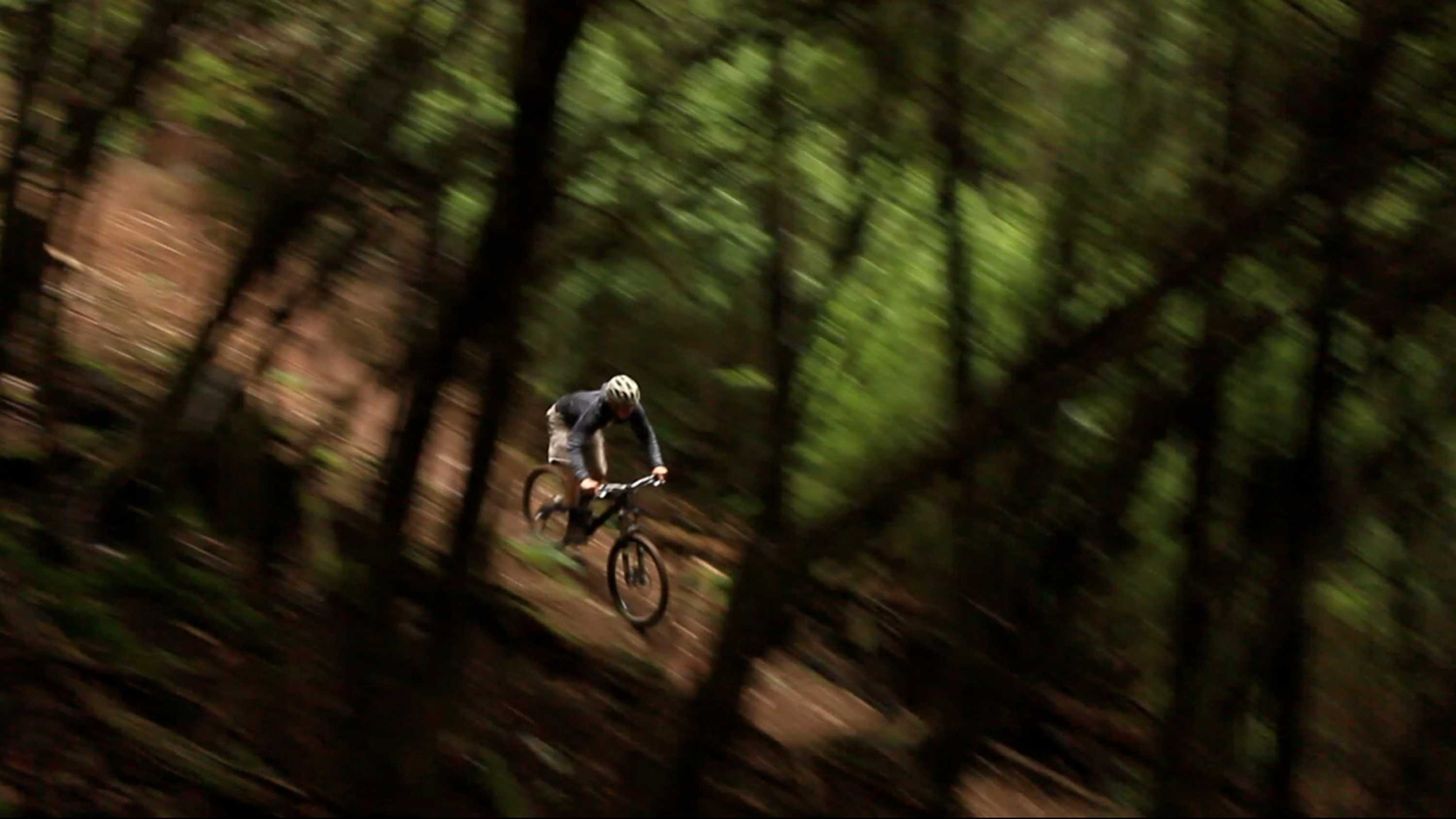 great tasmanian bike ride 2020