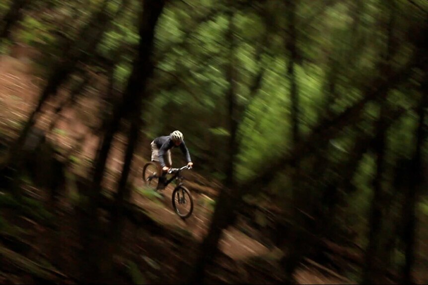 A mountain bike rider on a track in northern Tasmania.