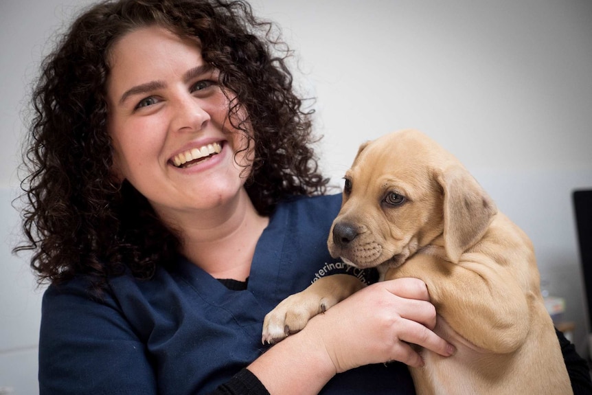 Vet nurse Jordan Ellard from Pets Have smiles widely holding a honey coloured puppy