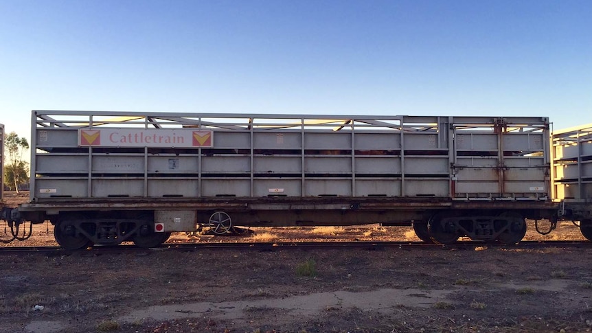 A full cattle train in western Queensland.