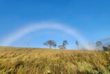 A white rainbow in a paddock.