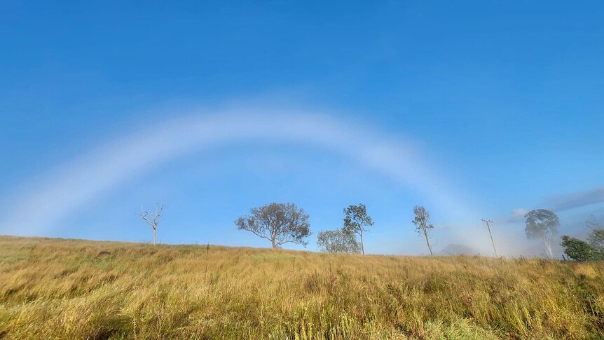 A white rainbow in a paddock.