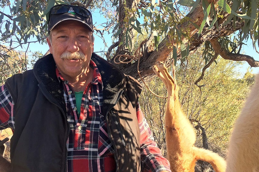 Mark Horan stands in front of a eucalypt tree, with two wild dogs suspended by ropes from its branches.