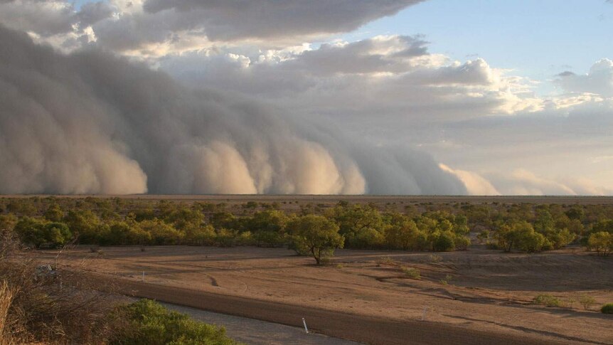The approaching dust storm stretched toward the horizon.
