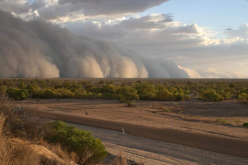 The approaching dust storm stretched toward the horizon.