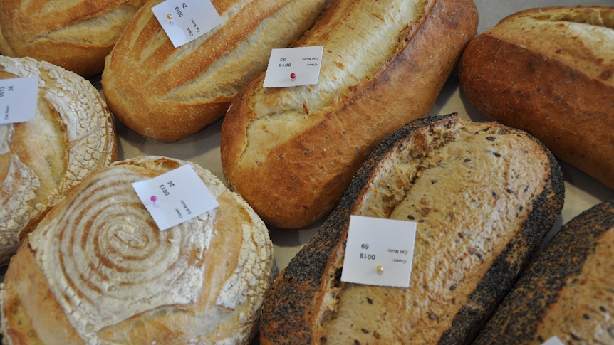 Loaves of bread entered for competition