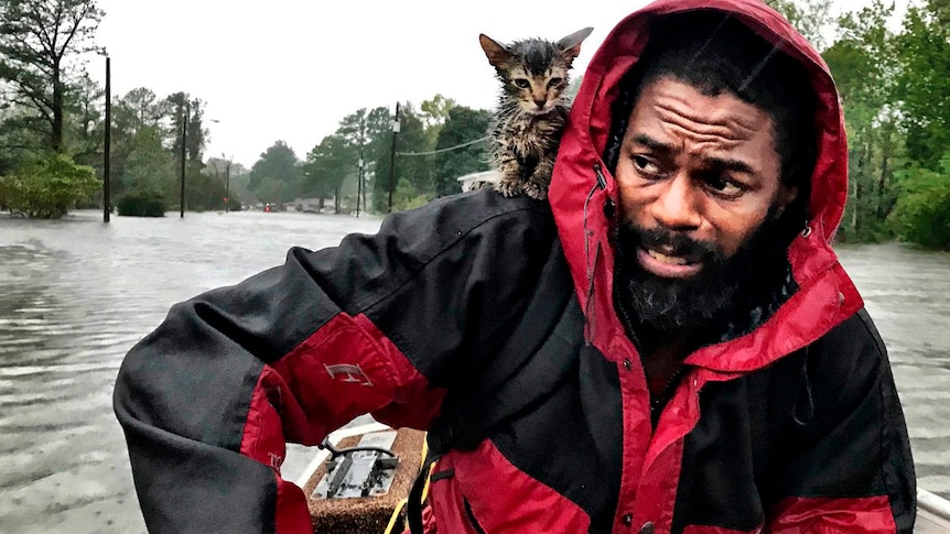 Owner and kitten saved from floodwaters